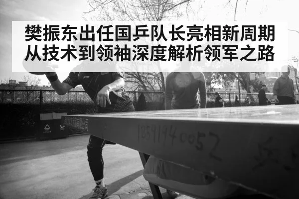 樊振东出任国乒队长亮相新周期 从技术到领袖深度解析领军之路