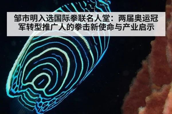 邹市明入选国际拳联名人堂：两届奥运冠军转型推广人的拳击新使命与产业启示