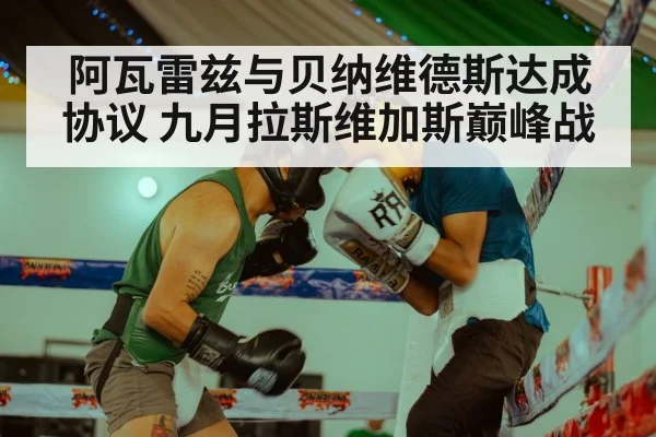 阿瓦雷兹与贝纳维德斯达成协议 九月拉斯维加斯巅峰战