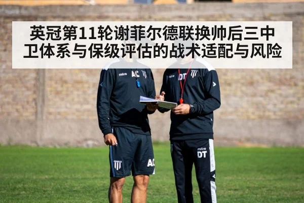 英冠第11轮谢菲尔德联换帅后三中卫体系与保级评估的战术适配与风险
